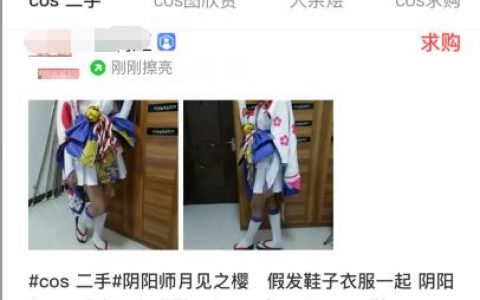 网赚分析：二次元经济价值，粉丝的超强购买力