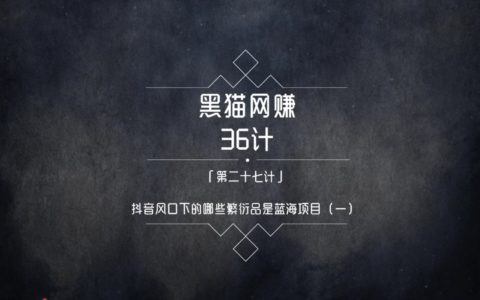 黑猫网赚36计第27计：短视频风口下的蓝海项目（一）