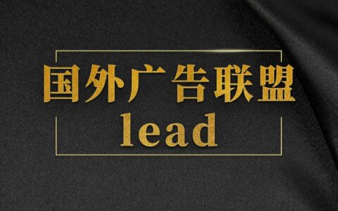 国外广告联盟项目之Lead任务